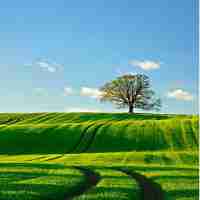 最​新‍内​容​聚﻿合‌脚‌本‌下‌载﻿安﻿装‍